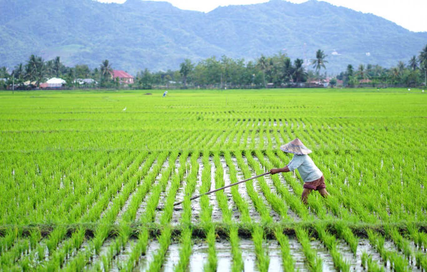 Desa Jambelaer
